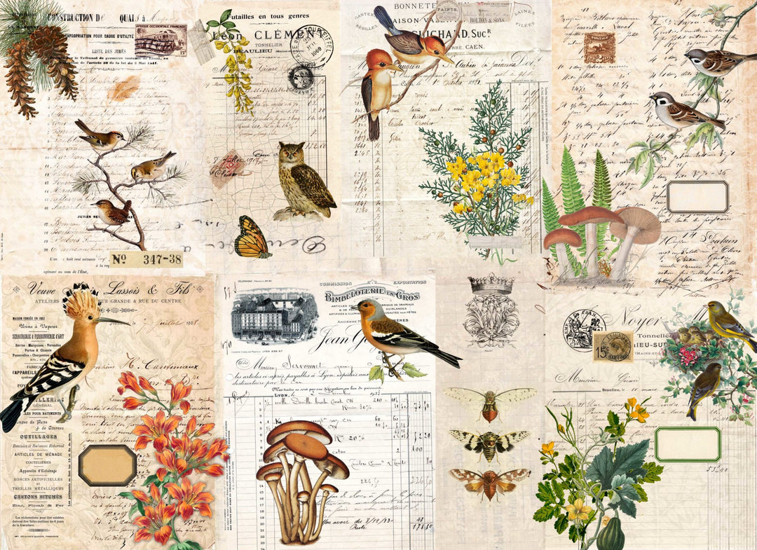 Decoupage Paper - Fall Botanical Project Blocks