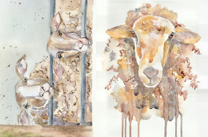 Decoupage Paper - Sheep