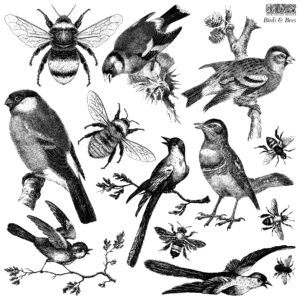 IOD Designs Stamp - Birds & Bees 12" x 12"