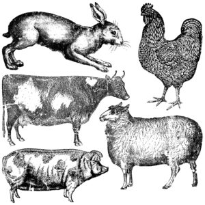 IOD Designs Stamp - Farm Animals 12" x 12"