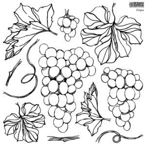 IOD Designs Stamp - Grapes 12" x 12"